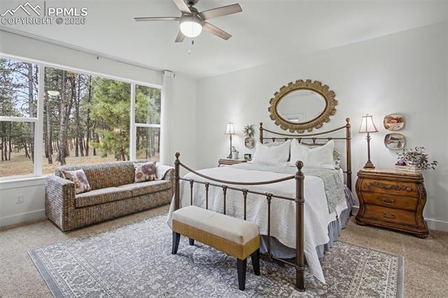 MLS Image for 11325  Laforet  ,Colorado Springs, Colorado