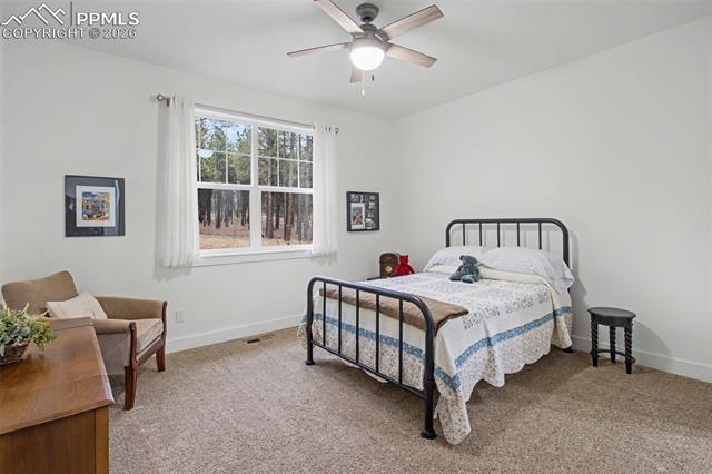 MLS Image for 11325  Laforet  ,Colorado Springs, Colorado