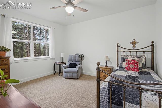 MLS Image for 11325  Laforet  ,Colorado Springs, Colorado