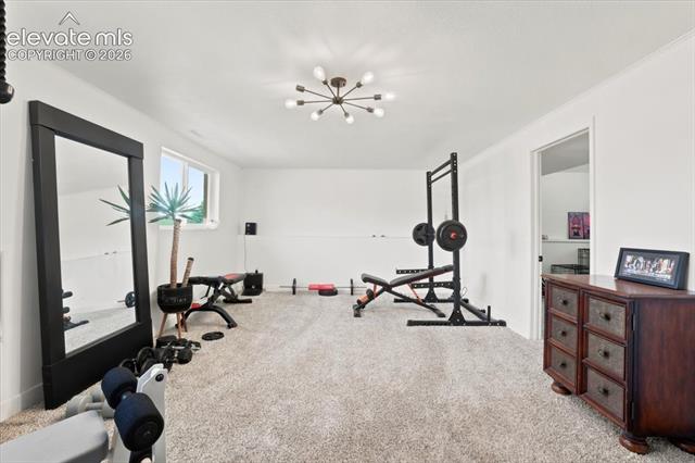 MLS Image for 3537  Maizeland  ,Colorado Springs, Colorado