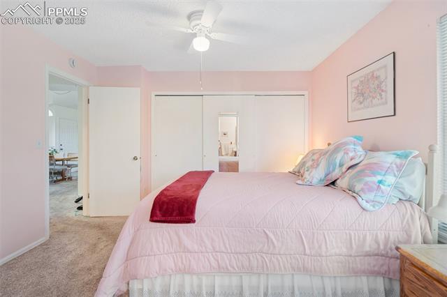 MLS Image for 3021  Capstan   ,Colorado Springs, Colorado