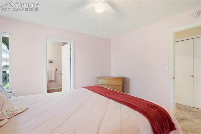 MLS Image for 3021  Capstan   ,Colorado Springs, Colorado