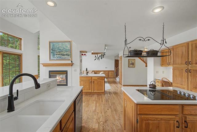 MLS Image for 125  Chantrey  ,Colorado Springs, Colorado