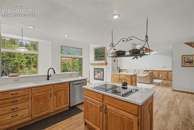 MLS Image for 125  Chantrey  ,Colorado Springs, Colorado