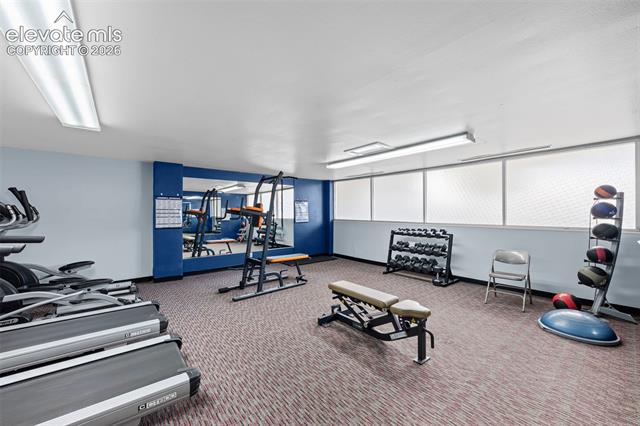 MLS Image for 411  Lakewood  B614 ,Colorado Springs, Colorado