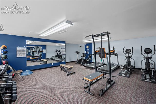 MLS Image for 411  Lakewood  B614 ,Colorado Springs, Colorado