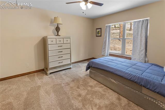 MLS Image for 74  Buckskin  ,Florissant, Colorado