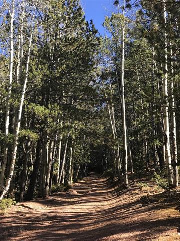 MLS Image for 74  Buckskin  ,Florissant, Colorado