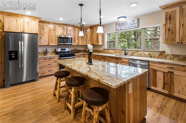 MLS Image for 74  Buckskin  ,Florissant, Colorado