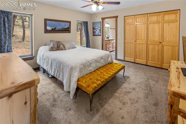 MLS Image for 74  Buckskin  ,Florissant, Colorado