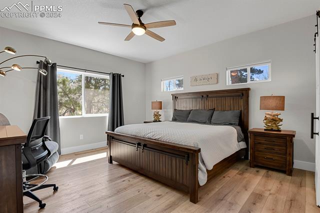 MLS Image for 348  Due South  ,Florissant, Colorado