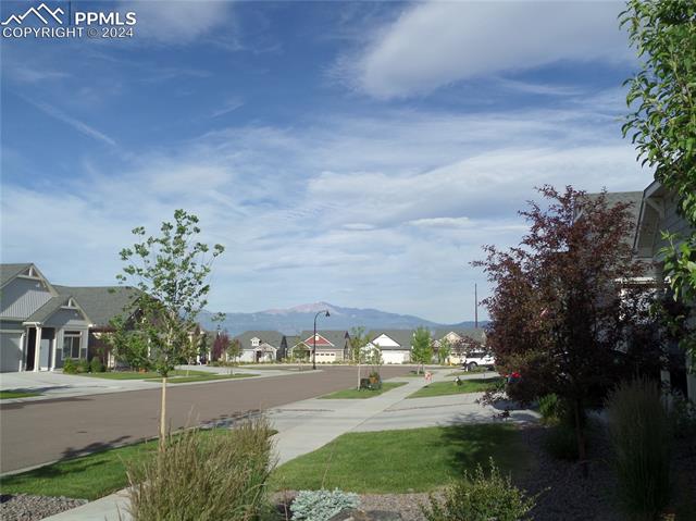 MLS Image for 9048  Manse  ,Colorado Springs, Colorado