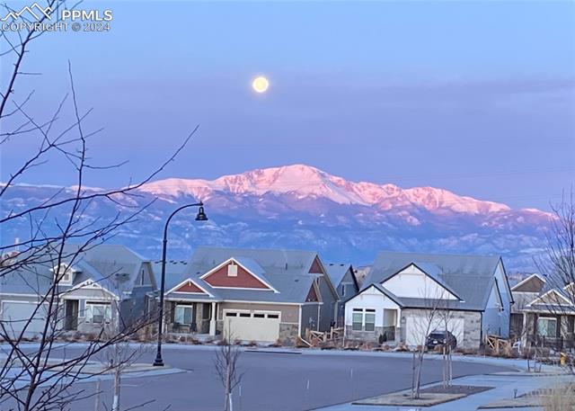 MLS Image for 9048  Manse  ,Colorado Springs, Colorado