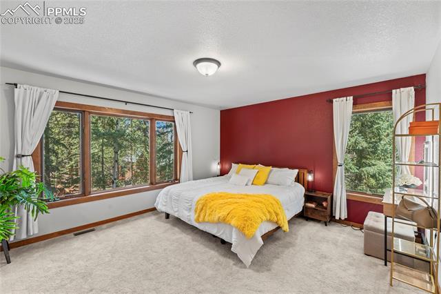 MLS Image for 2837  Sunnywood  ,Woodland Park, Colorado
