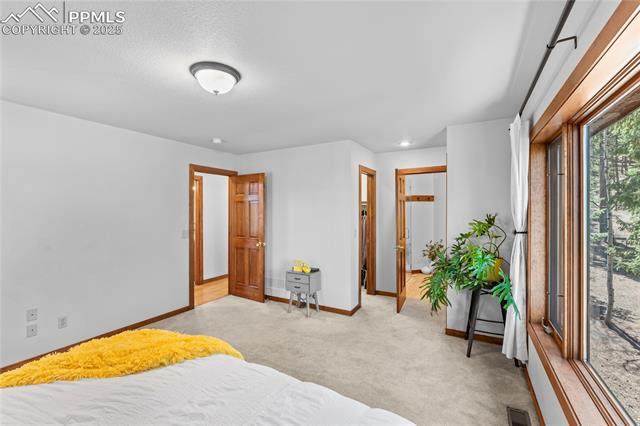MLS Image for 2837  Sunnywood  ,Woodland Park, Colorado
