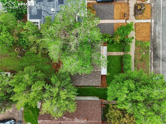 MLS Image for 509 N Spruce  ,Colorado Springs, Colorado