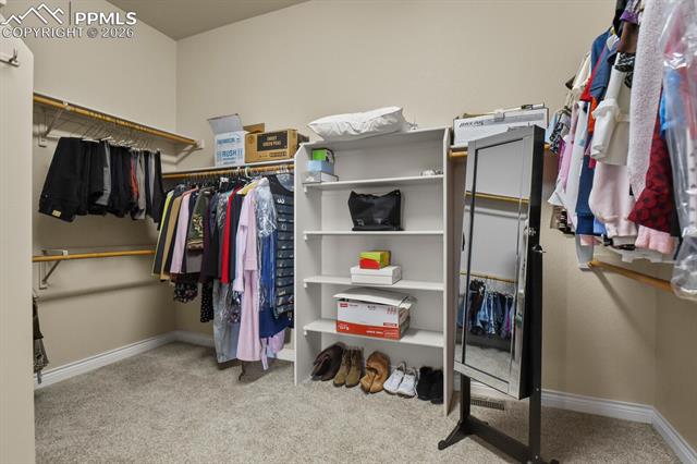 MLS Image for 617  Concerto  ,Colorado Springs, Colorado