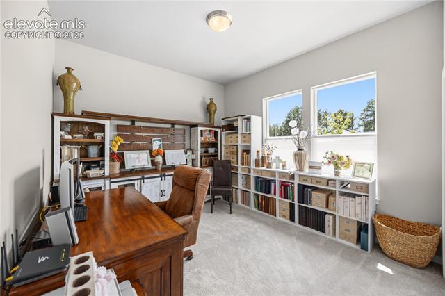 MLS Image for 16297  Forest Cloud  ,Monument, Colorado