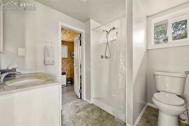 MLS Image for 53  Forest  ,Florissant, Colorado