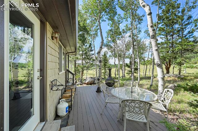 MLS Image for 53  Forest  ,Florissant, Colorado