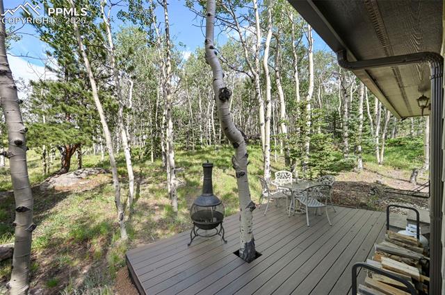 MLS Image for 53  Forest  ,Florissant, Colorado