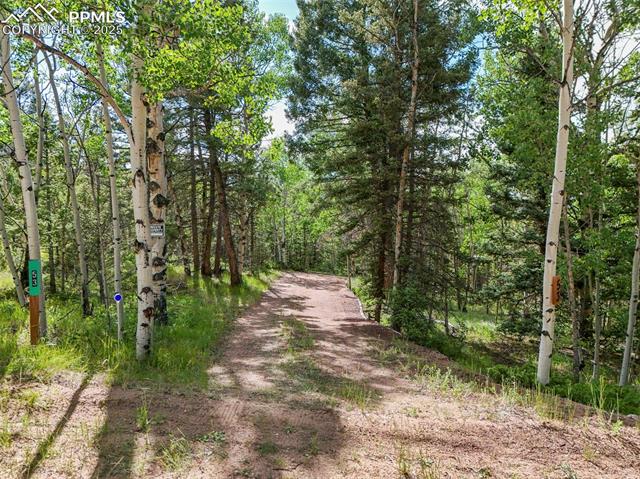 MLS Image for 53  Forest  ,Florissant, Colorado