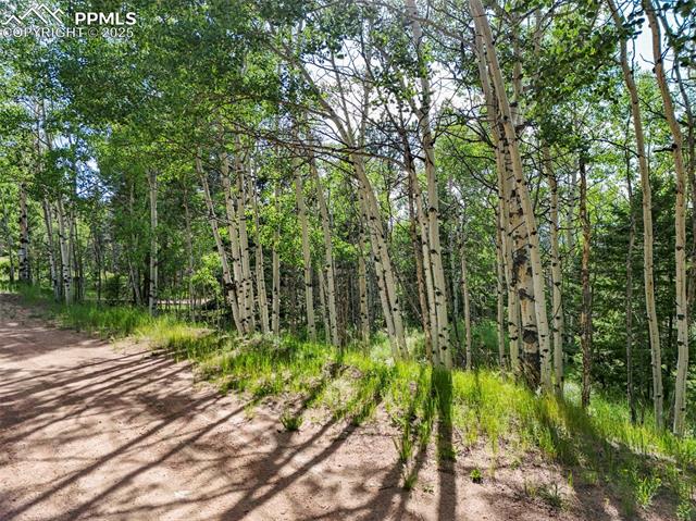MLS Image for 53  Forest  ,Florissant, Colorado