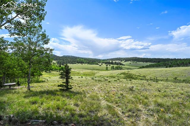 MLS Image for 53  Forest  ,Florissant, Colorado