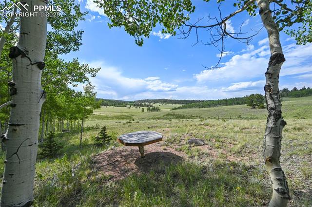 MLS Image for 53  Forest  ,Florissant, Colorado