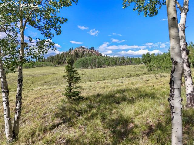MLS Image for 53  Forest  ,Florissant, Colorado