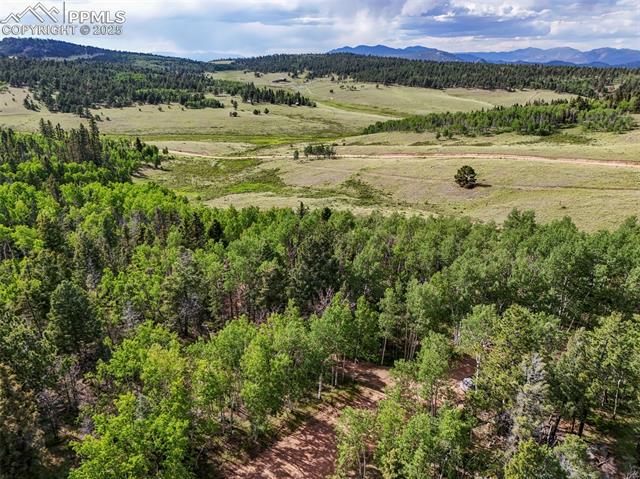 MLS Image for 53  Forest  ,Florissant, Colorado