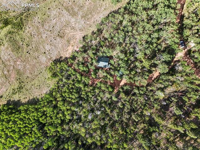 MLS Image for 53  Forest  ,Florissant, Colorado