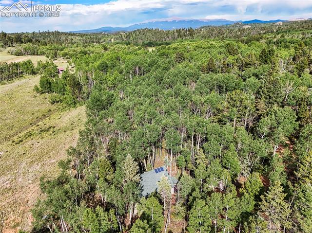 MLS Image for 53  Forest  ,Florissant, Colorado