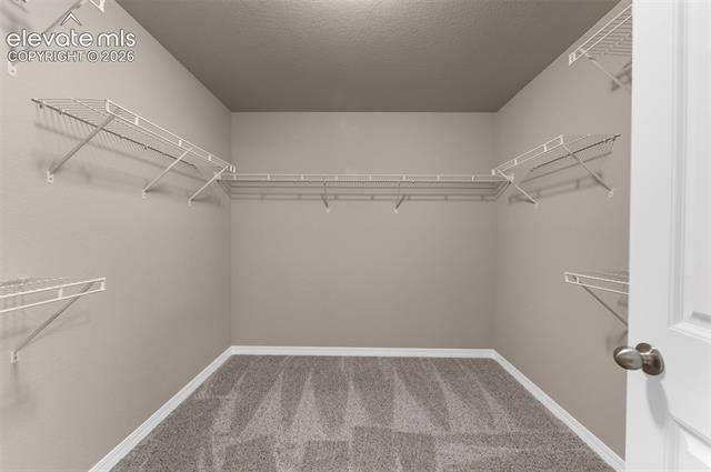 MLS Image for 7568  Cat Tail Creek  ,Colorado Springs, Colorado