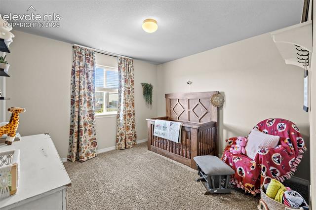 MLS Image for 12816  Scenic Walk  ,Peyton, Colorado