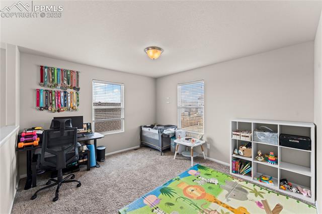 MLS Image for 10054  Exeter  ,Peyton, Colorado