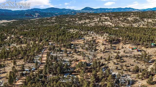 MLS Image for 2270  Pikes Peak  ,Florissant, Colorado