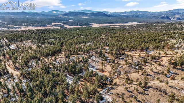 MLS Image for 2270  Pikes Peak  ,Florissant, Colorado