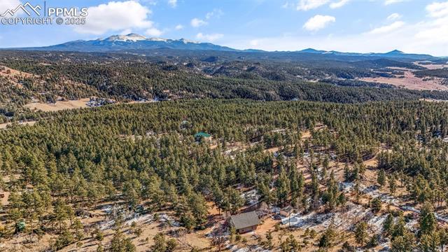 MLS Image for 2270  Pikes Peak  ,Florissant, Colorado
