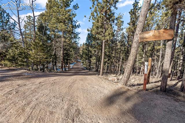 MLS Image for 2270  Pikes Peak  ,Florissant, Colorado