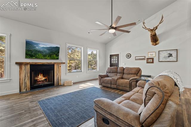 MLS Image for 2270  Pikes Peak  ,Florissant, Colorado