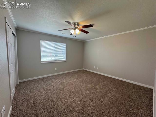 MLS Image for 4420  Galley  ,Colorado Springs, Colorado