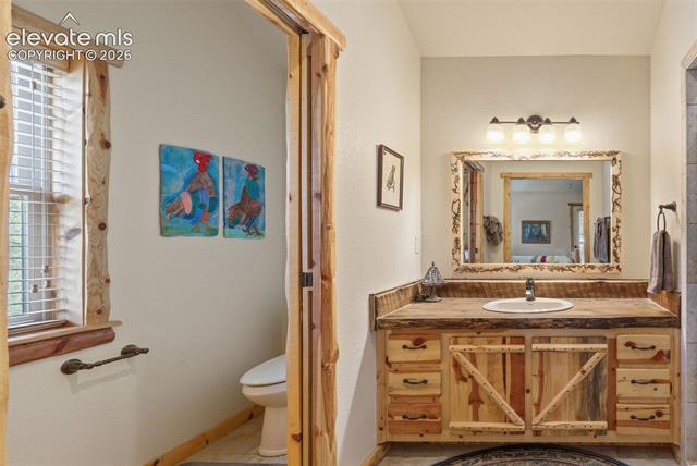 MLS Image for 319  Maroon Lake  ,Divide, Colorado