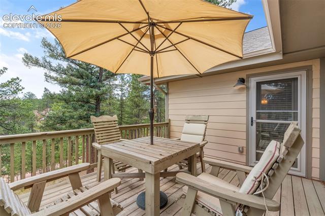 MLS Image for 319  Maroon Lake  ,Divide, Colorado