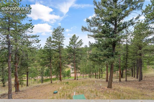 MLS Image for 319  Maroon Lake  ,Divide, Colorado