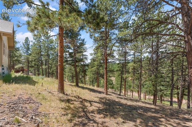 MLS Image for 319  Maroon Lake  ,Divide, Colorado