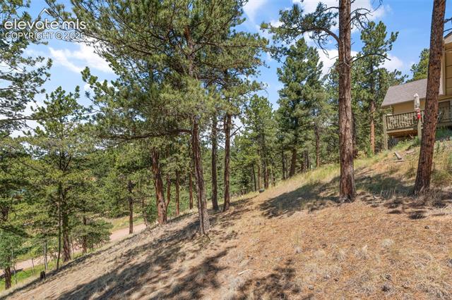 MLS Image for 319  Maroon Lake  ,Divide, Colorado