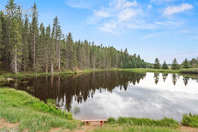 MLS Image for 319  Maroon Lake  ,Divide, Colorado