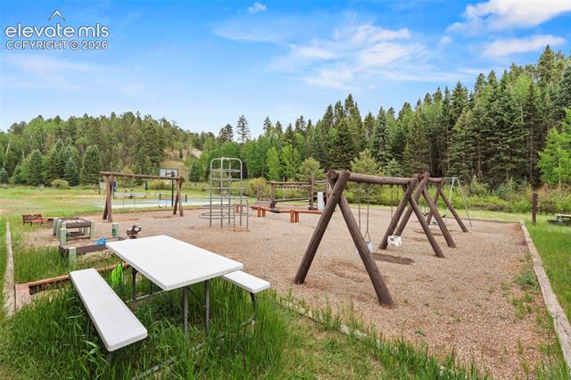 MLS Image for 319  Maroon Lake  ,Divide, Colorado