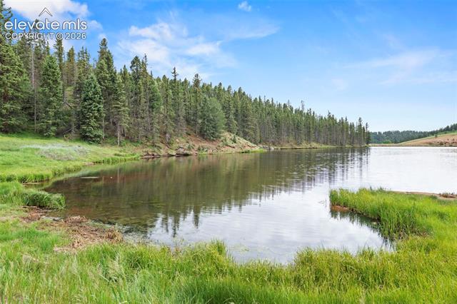 MLS Image for 319  Maroon Lake  ,Divide, Colorado